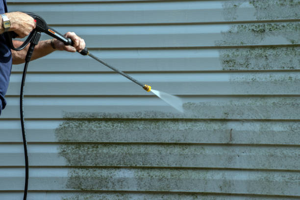 Best Roof Power Washing Services  in Weston, FL