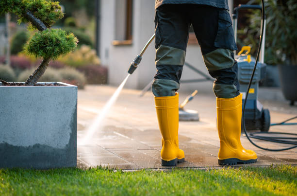 Best Local Pressure Washing Services  in Weston, FL